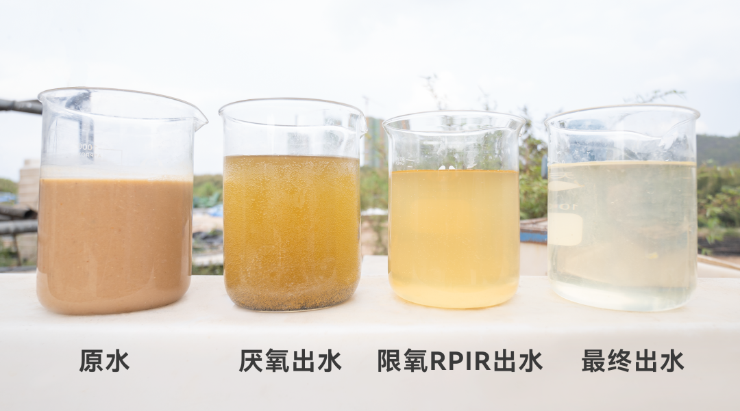 77����-ר������ָ��������ƽ̨