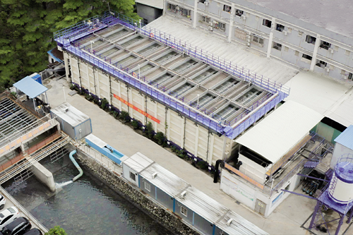 77����-ר������ָ��������ƽ̨