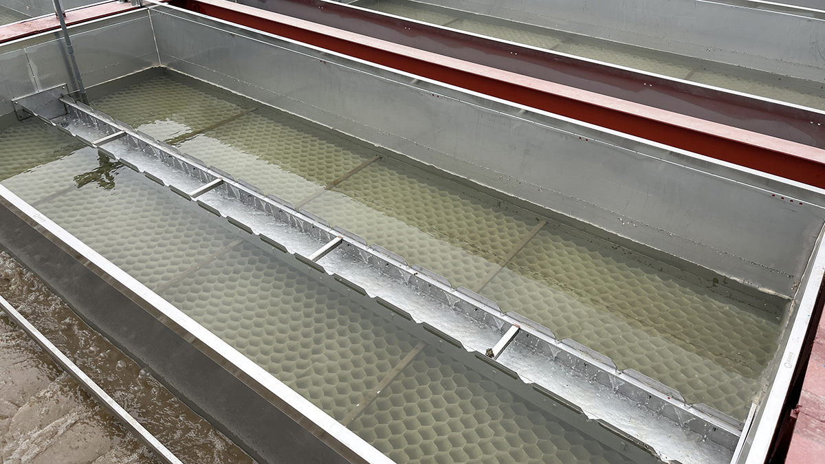 77体育-专属体育指南与赛事平台