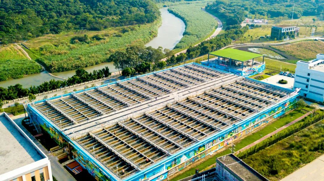 77����-ר������ָ��������ƽ̨