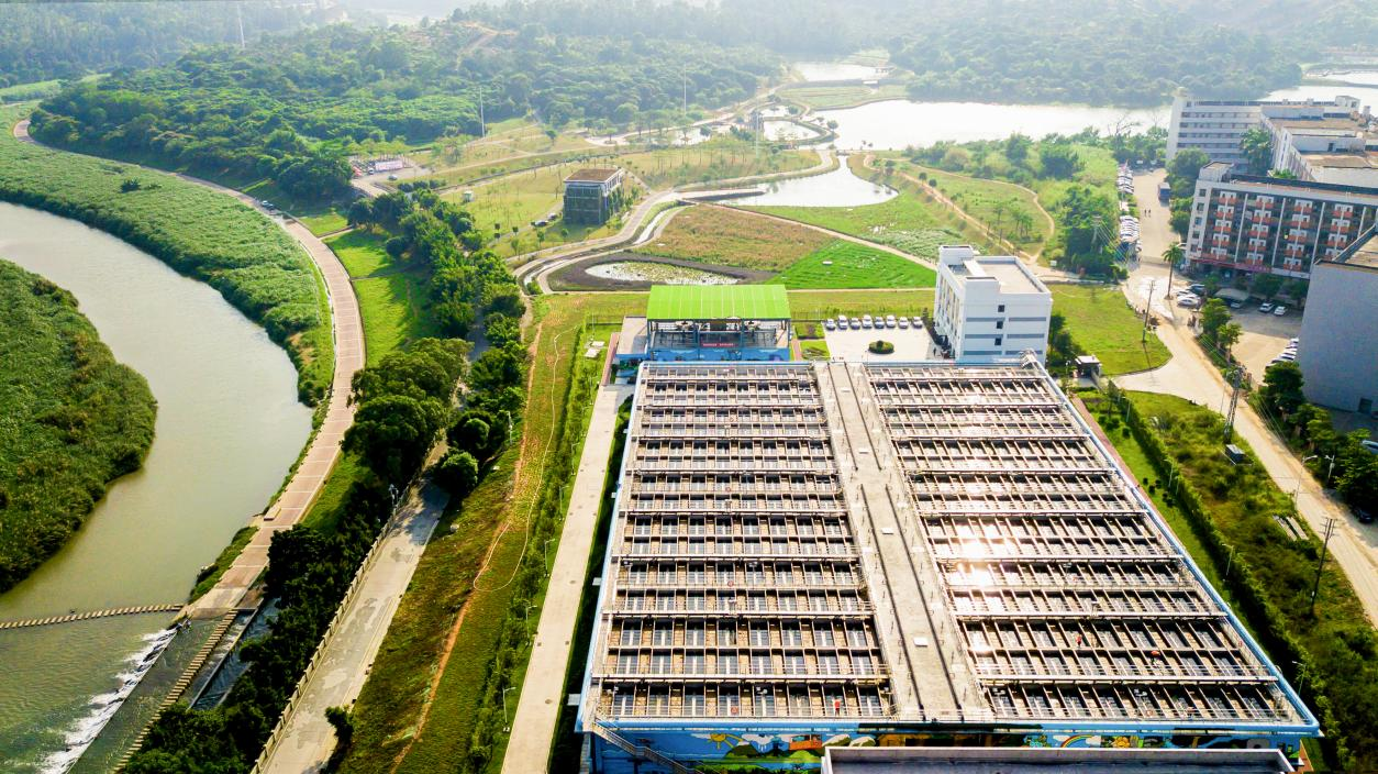 77����-ר������ָ��������ƽ̨